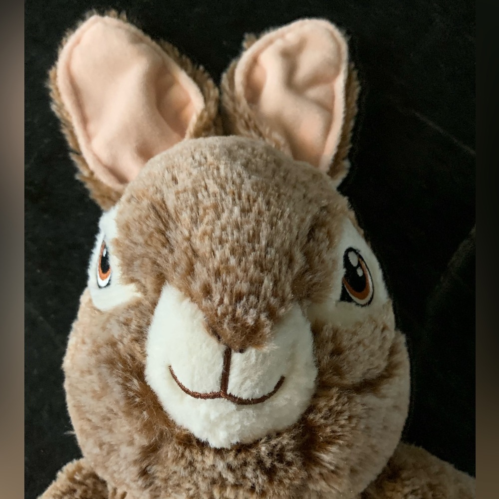 DAN DEE  | Peter Rabbit Stuffed Plush Bunny Rabbit - Picture 3 of 6